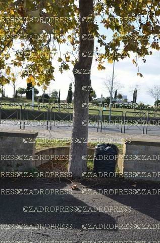maremmalazzialedispettosa9