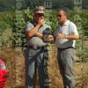 incendiolagodivico320
