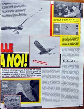 cronacaveran20784luglio30