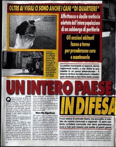 questasettimana60920111