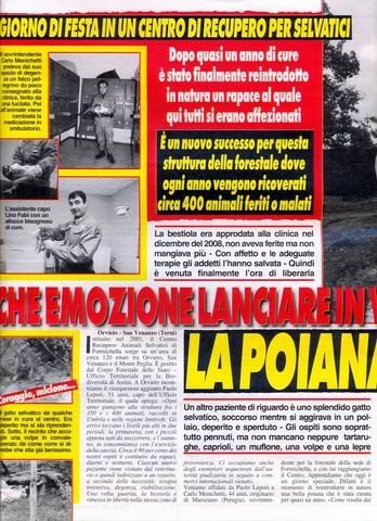 ridimensionadicentrorecupero1umbria