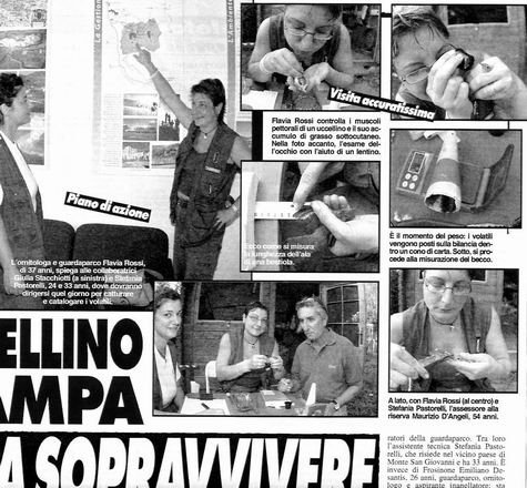 ridimensionadirietiriserva03.1673.29settembre04.jpg