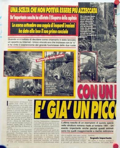 settimanalecvera31012012leopardouno20